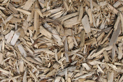 biomass boilers Panbride